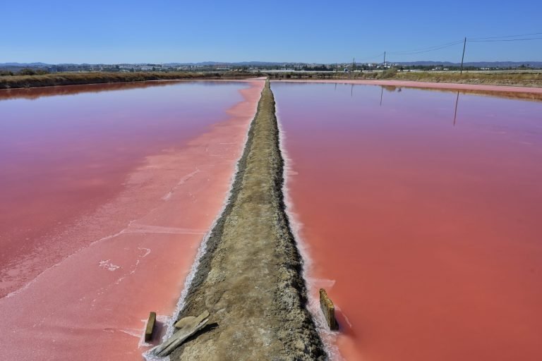 Salinas de Tavira