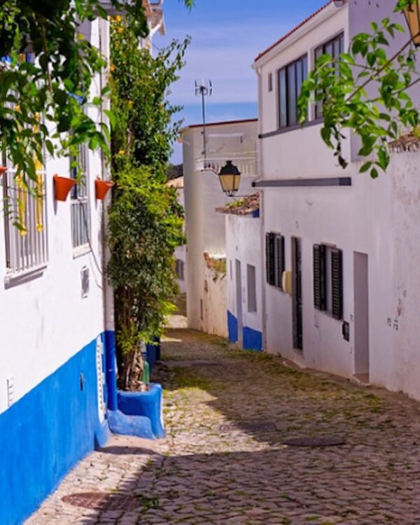 Alte algarve