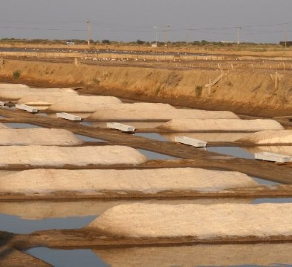 Salinas de Tavira