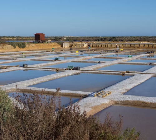 mar morto ria formosa