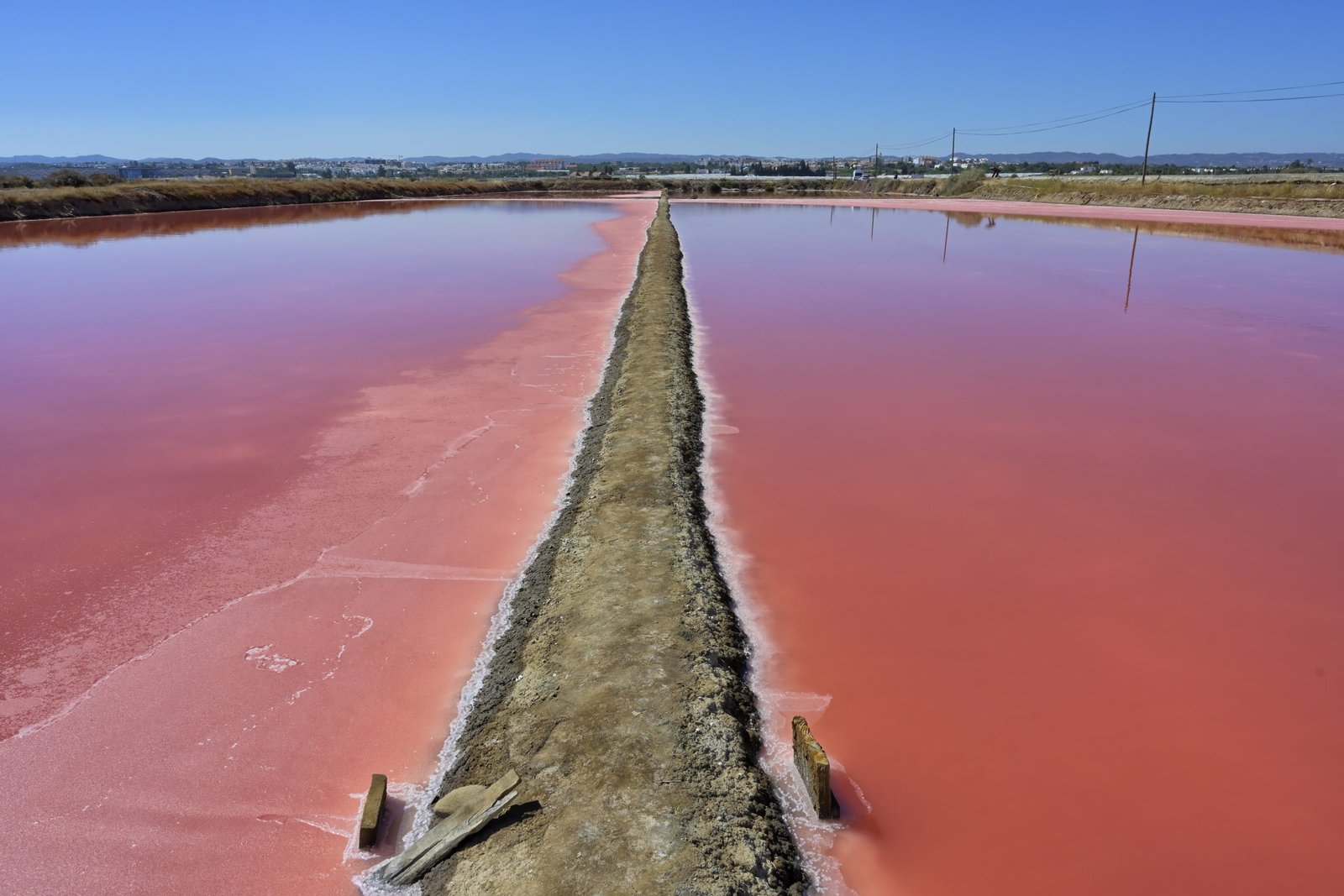 Salinas de Tavira