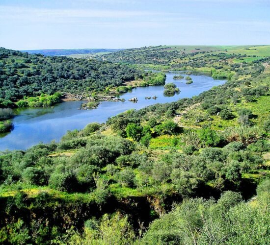 Rio Guadiana