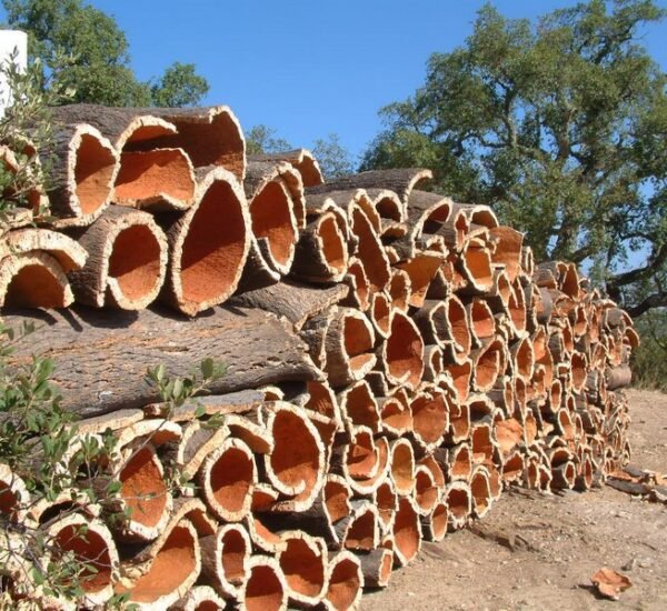 Cortiça São Brás de Alportel